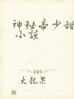 神秘帝少甜宠妻 小说