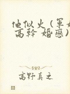 他似火 (军婚 高干 婚恋)小说免费阅读