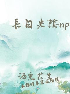 长日光阴np