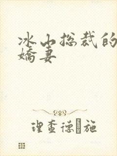 冰山总裁的掠爱娇妻