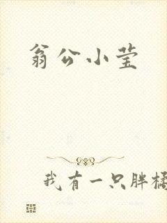 翁公小莹