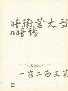 暗卫营大型hpn暗鸦