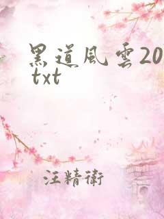 黑道风云20年 txt