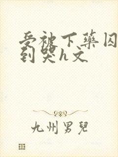 受被下药囚禁脔到哭h文