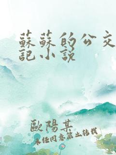 苏苏的公交车日记小说