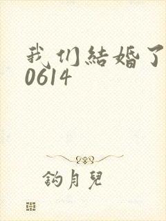 我们结婚了130614