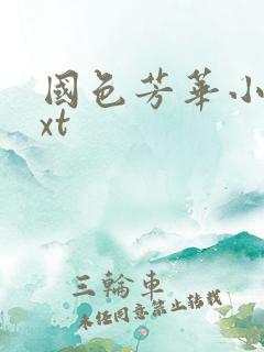 国色芳华小说txt