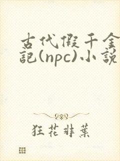 古代假千金挨日记(npc)小说