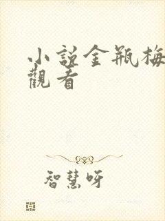 小说金瓶梅在线观看