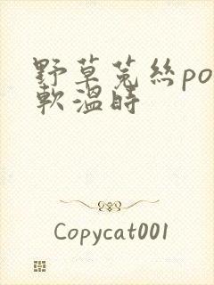 野草菟丝po温软温时