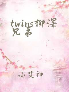 twins柳泽兄弟