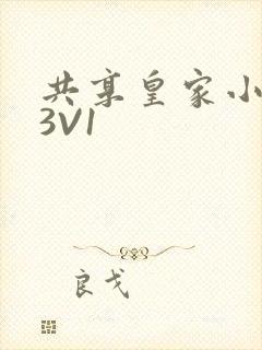 共享皇家小公主3V1