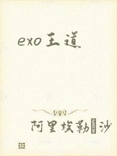 exo王道