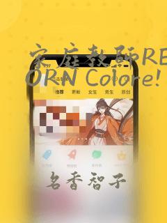 家庭教师REBORN Colore! 画集