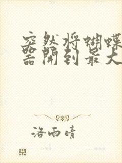 突然将蝴蝶遥控器开到最大