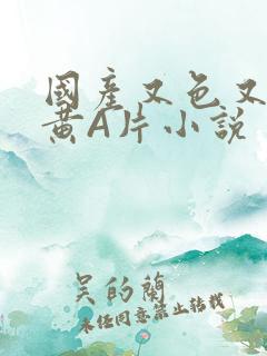 国产又色又爽又黄A片小说