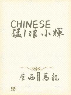 CHINESE猛1浪小辉