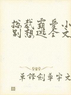 总裁霸爱小娇妻别想逃全文阅读免费