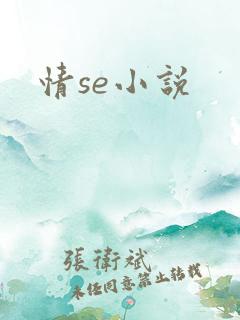 情se小说