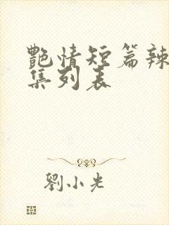 艳情短篇辣文合集列表