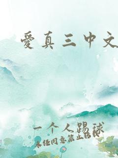 爱真三中文网