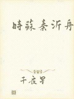 时苏秦沂舟小说