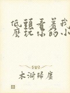 低头看着我是怎么玩你的小说