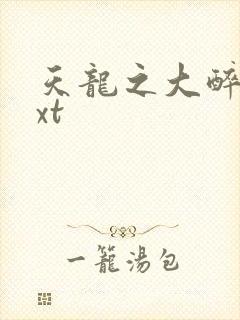 天龙之大醉侠txt