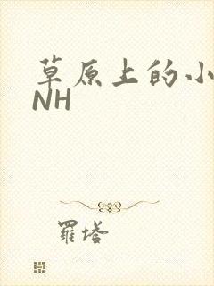 草原上的小公主NH