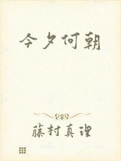 今夕何朝