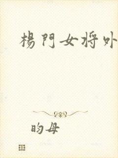 杨门女将外传