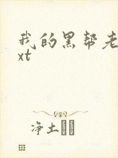 我的黑帮老公txt