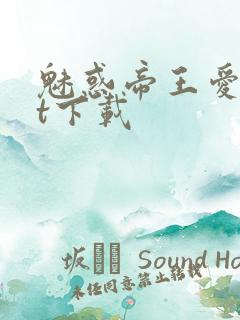 魅惑帝王爱txt下载