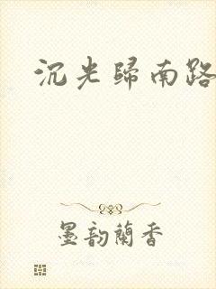 沉光归南路