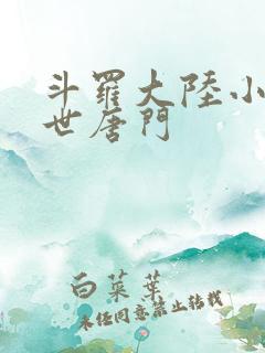斗罗大陆小说绝世唐门