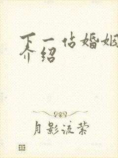 下一站婚姻剧情介绍