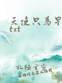 天使只为星夜哭txt