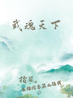 武魂天下