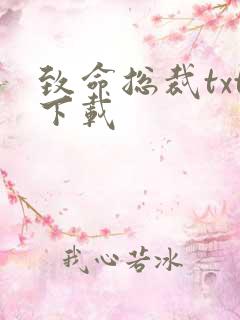 致命总裁txt下载