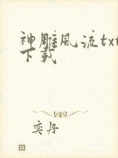 神雕风流txt下载