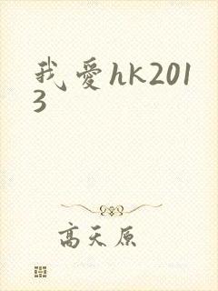 我爱hk2013