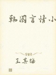 韩国言情小说