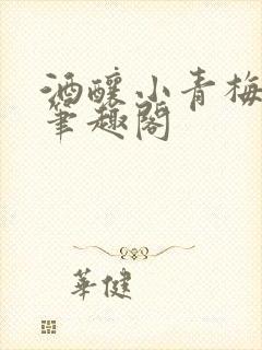 酒酿小青梅po笔趣阁