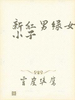 新红男绿女之坏小子