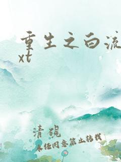 重生之白流苏txt