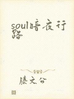 soul暗夜行路