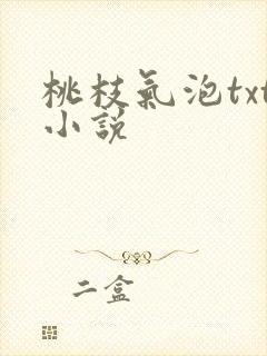 桃枝气泡txt小说