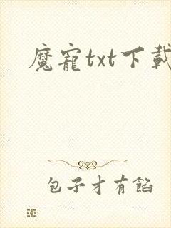 魔宠txt下载