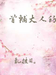 首辅大人的套路