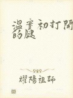 温实初打开眉庄的腿